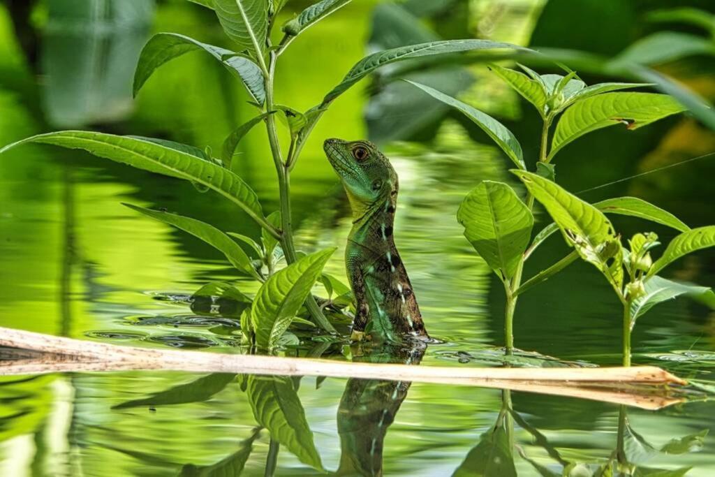 Into The Greens Madre de Dios Exterior foto
